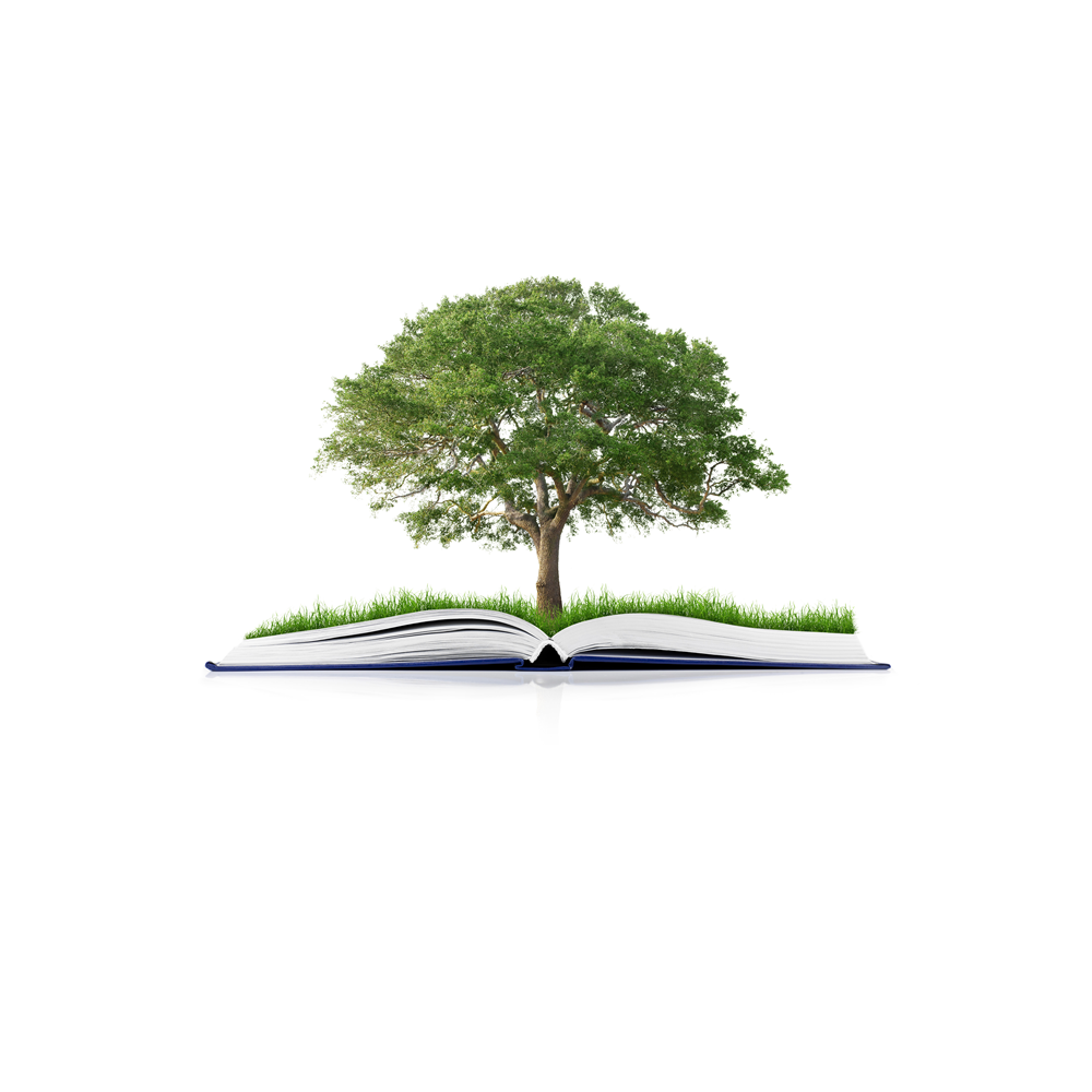 Macmillan Distribution - Sustainability Tree and Book image